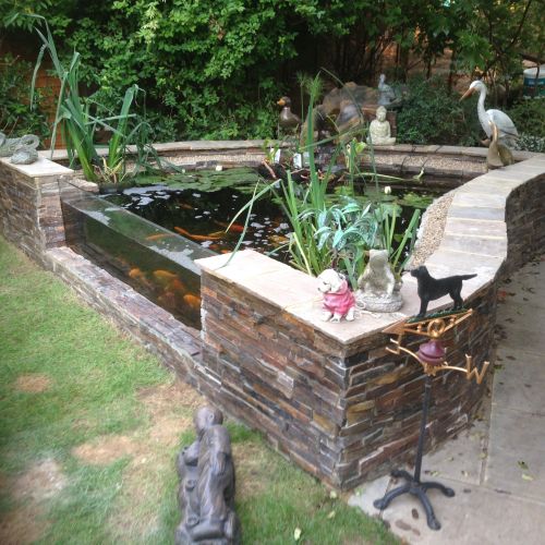Garden Project   Koi Pond